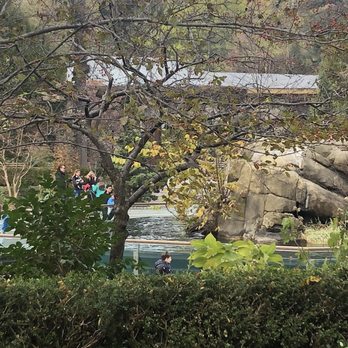 Central Park Conservancy - Parks Near Me - New York, New York