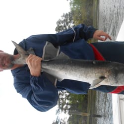 Monster Chopper Spring Bluefish