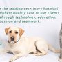 Photo of Airpark Animal Hospital