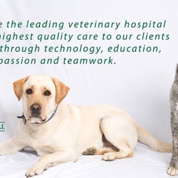Airpark Animal Hospital