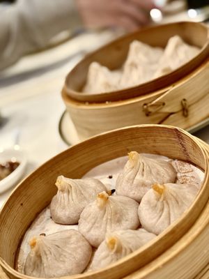 Soup Dumpling Plus by null