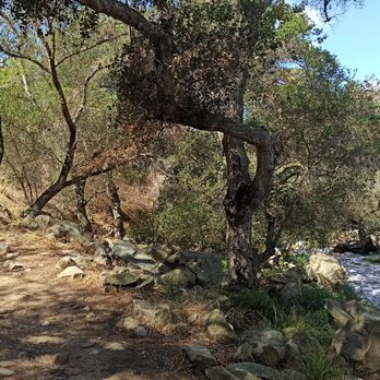 Elfin Forest Recreational Reserve - Hiking Near Me - Escondido, California Elfin Forest Recreational Reserve - Hiking Near Me - Escondido, California