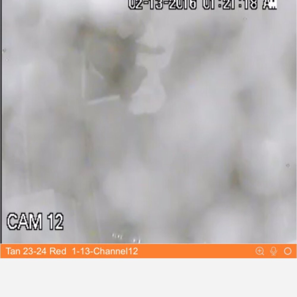 Bark Avenue Pet Resort - Can check on him 24/7 with the live video App - Pet Groomers Near Me - Jacksonville, Florida Bark Avenue Pet Resort - Can check on him 24/7 with the live video App - Pet Groomers Near Me - Jacksonville, Florida