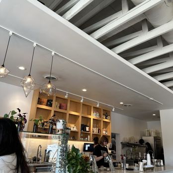Fiddlehead Fern Café - Coffee & Tea Near Me - St Louis, Missouri Fiddlehead Fern Café - Coffee & Tea Near Me - St Louis, Missouri