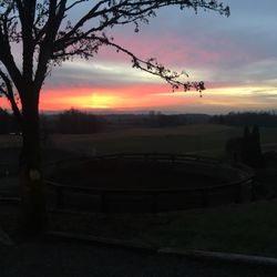 Brawley Farms
