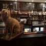 Photo of Maxine's