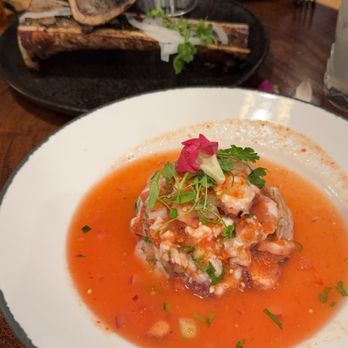 Camelia Modern Mexican Cuisine - Ceviche and Bone Marrow - Mexican Near Me - Denver, Colorado