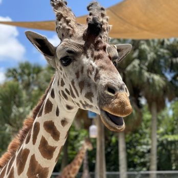 Naples Zoo - Zoos Near Me - Naples, Florida