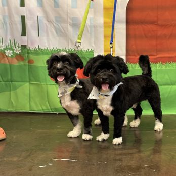 Furry Haven - All done and happy - Pet Boarding Near Me - Bountiful, Utah Furry Haven - All done and happy - Pet Boarding Near Me - Bountiful, Utah