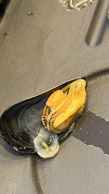 Restaurant Le Sérac by null