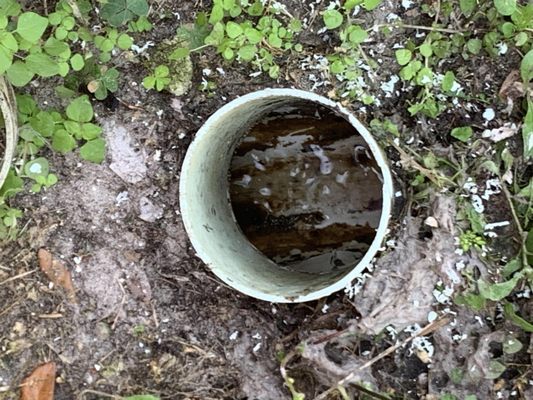 COASTAL SEPTIC SERVICES 12 Photos 12 Reviews 300 Mac Arthur Cir 