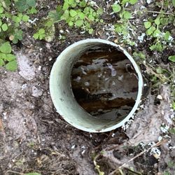 Coastal Septic Services - Coastal cleared the clog when it wasn't their job. Thank you!