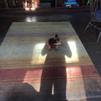 Karma Cafe - Oatie the pup!! - Coffee & Tea Near Me - San Francisco, California