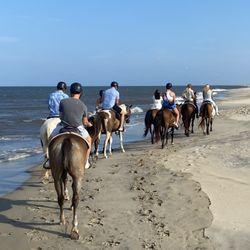 Virginia Beach Horseback