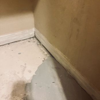 Hover Girl Properties - Covering previous water damage - Property Management Near Me - Jacksonville, Florida Hover Girl Properties - Covering previous water damage - Property Management Near Me - Jacksonville, Florida