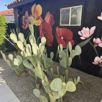 Fleur Noire Hotel - Entrance - Hotels Near Me - Palm Springs, California Fleur Noire Hotel - Entrance - Hotels Near Me - Palm Springs, California
