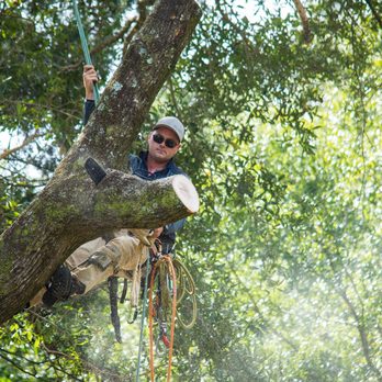 Stick Man Tree Service - Tree Services Near Me - Crestview, Florida Stick Man Tree Service - Tree Services Near Me - Crestview, Florida