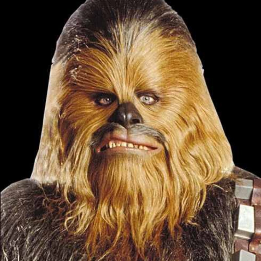 Great Clips - Before - Hair Salons Near Me - Gainesville, Florida Great Clips - Before - Hair Salons Near Me - Gainesville, Florida