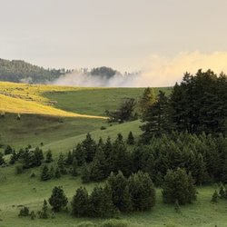 Howlers Inn B&B and Wolf Sanctuary - View from our window