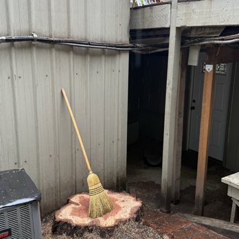 Siskiyou Tree Experts - Clean up after tight the removal - Tree Services Near Me - Merlin Oregon, Oregon