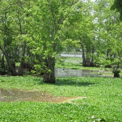 Mathews Brake National Wildlife Refuge