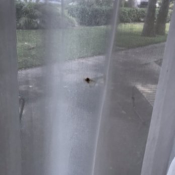 Bahia Resort Hotel - One of the burn marks in the sheer under curtain. - San Diego, CA
