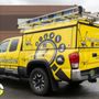Pest Detective Langley & Aldergrove