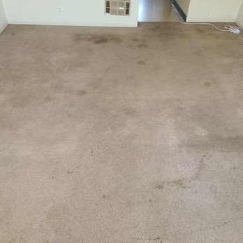 DWES Enterprise - Pet stains and other basic stains - Home Cleaning Near Me - Santa Clara , California DWES Enterprise - Pet stains and other basic stains - Home Cleaning Near Me - Santa Clara , California
