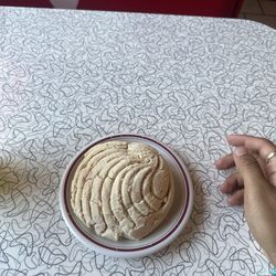 Tortilleria El Molinito - Concha