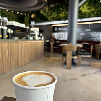 Kaldi’s social house - Coffee & Tea Near Me - Arlington, Virginia
