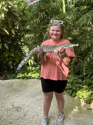 Croco Cun Zoo by null