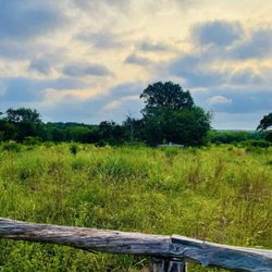 Phil Hardberger Park Conservancy