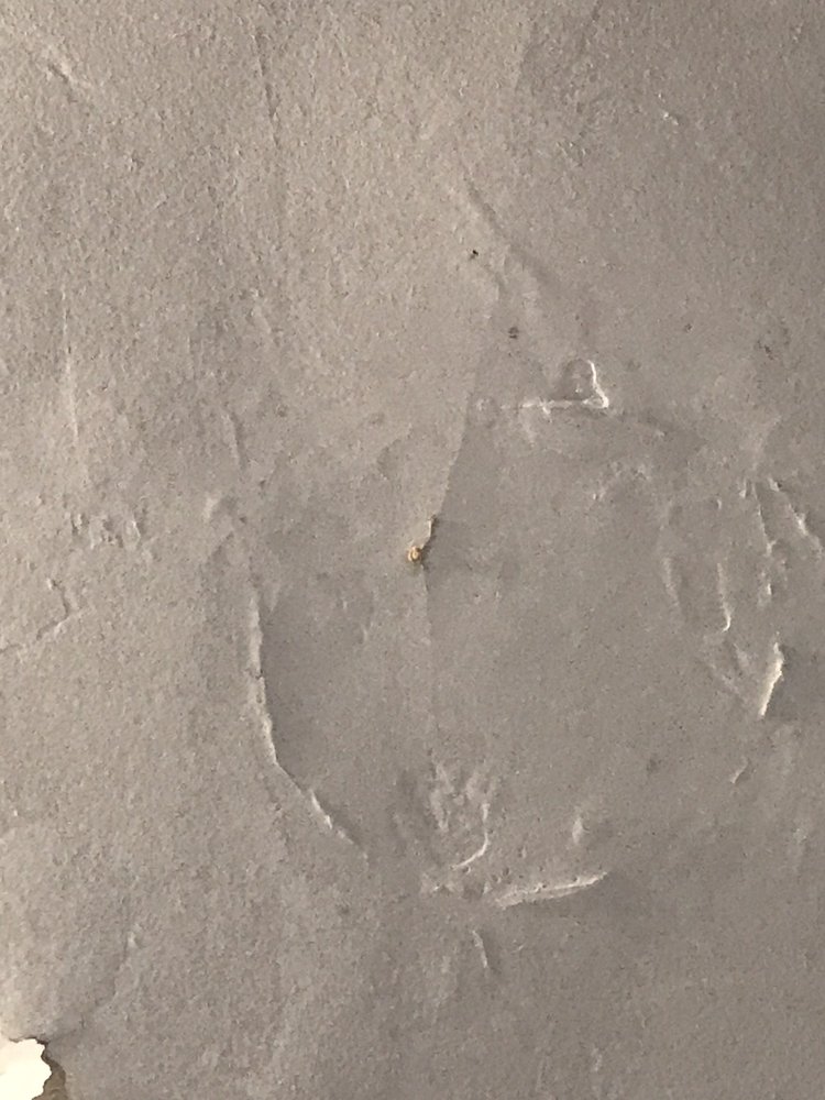 Slide of Praxis Industries