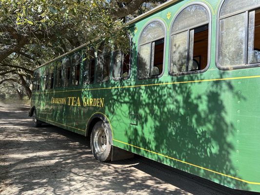Charleston Tea Garden by null
