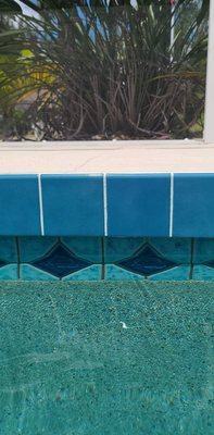 Pool Tile Repair & Re-Grouting Services - FL Grown is a Veteran, family owned business. We specialize in Pressure Cleaning, Stripping & Sealing your brick pavers. We are one of the few companies in this area that will strip the old sealant off before applying your new sealer. FL Grown takes much pride in everything we do. Our little team is ready to go to work for you! We have the experience and the knowledge to revitalize and protect your pavers the correct way. FL Grown Restoration will strip your previous sealant before applying the new product. This will stop the milky white or yellow discoloration due to layers of prior sealant. After the stripping process, we re-sand your pavers and then lay the new sealant . We don't just use top of the line products and equipment, we also do not leave a mess! Any and all areas that may be affected by our services will get a vegetation rinse, windows and doors cleaned. Pool Tile Repair & Re-Grouting Services - FL Grown is a Veteran, family owned business. We specialize in Pressure Cleaning, Stripping & Sealing your brick pavers. We are one of the few companies in this area that will strip the old sealant off before applying your new sealer. FL Grown takes much pride in everything we do. Our little team is ready to go to work for you! We have the experience and the knowledge to revitalize and protect your pavers the correct way. FL Grown Restoration will strip your previous sealant before applying the new product. This will stop the milky white or yellow discoloration due to layers of prior sealant. After the stripping process, we re-sand your pavers and then lay the new sealant . We don't just use top of the line products and equipment, we also do not leave a mess! Any and all areas that may be affected by our services will get a vegetation rinse, windows and doors cleaned.
