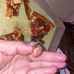 Paper, thin mushrooms. Paper, thin mushrooms.