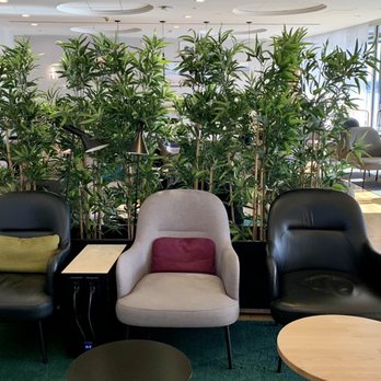 SAS Business Lounge - General seating in main room - Airport Lounges Near Me - Newark, New Jersey