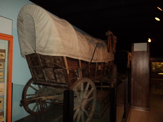 Hastings Museum by null