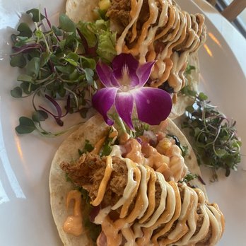 Testa's Bar & Grill - Maine Street Lobster Tacos - Seafood Near Me - Bar Harbor, Maine Testa's Bar & Grill - Maine Street Lobster Tacos - Seafood Near Me - Bar Harbor, Maine