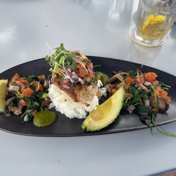 Mala Ocean Tavern - Catch of the day. Mahi mahi. - Seafood Near Me - Lahaina, Hawaii Mala Ocean Tavern - Catch of the day. Mahi mahi. - Seafood Near Me - Lahaina, Hawaii