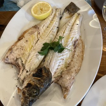 Lefkes - Branzino - Mediterranean Near Me - Englewood Cliffs, New Jersey Lefkes - Branzino - Mediterranean Near Me - Englewood Cliffs, New Jersey