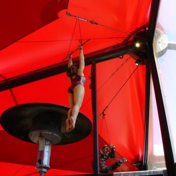Circus Circus - Look Up! - Cafes Near Me - Auckland, AUK Circus Circus - Look Up! - Cafes Near Me - Auckland, AUK