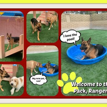 Doggie District - Paradise Valley - Pet Groomers Near Me - Phoenix, Arizona