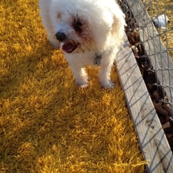Valley Stream Dog Park