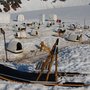 Photo of Godwin Glacier Dogsled Tours