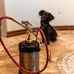 Essential Pest Management - Pet Friendly