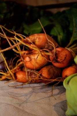 SoBro Farmers Market by null