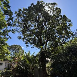 Arbor Spirit Tree Care
