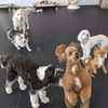 D Pet Hotels Arcadia gift card
