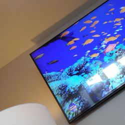 Curtis F. Robinson, MD - Calming aquarium on the television.